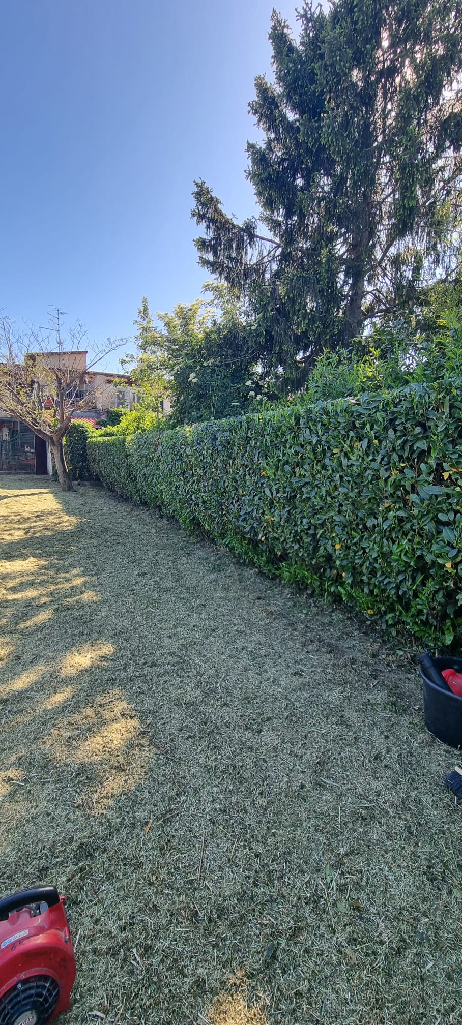 Manutenzione e ristrutturazione giardino a Firenze — risultato finale