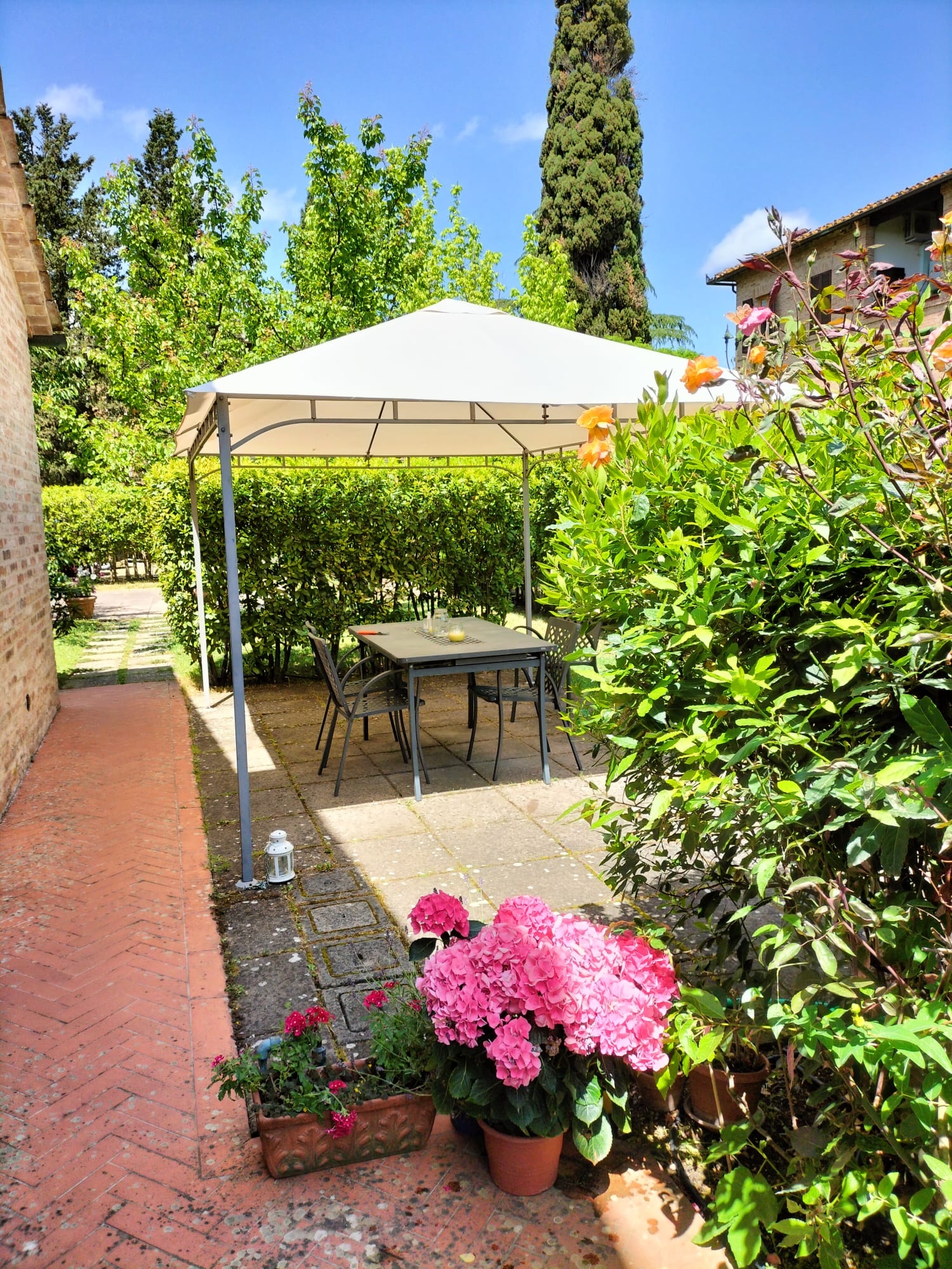 Riqualificazione giardino privato a Sesto Fiorentino — risultato finale