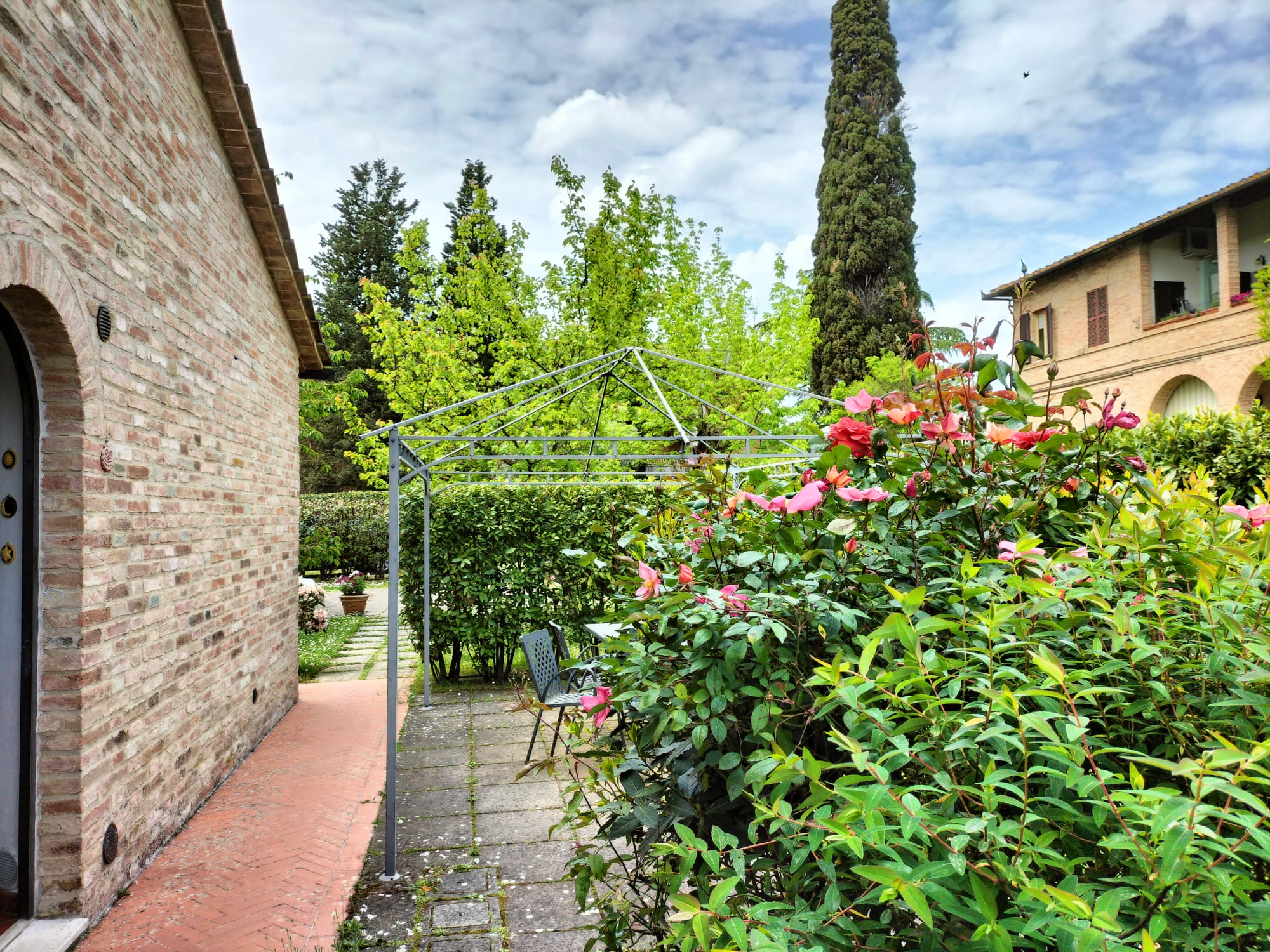 Dettaglio delle nuove piantagioni nel giardino di Sesto Fiorentino
