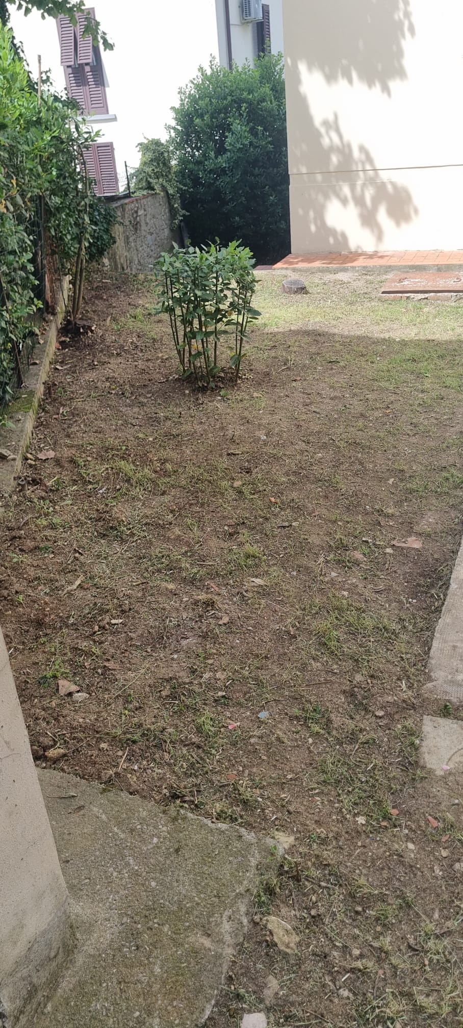 Giardino ripulito dalle erbacce a Calenzano — terreno recuperato