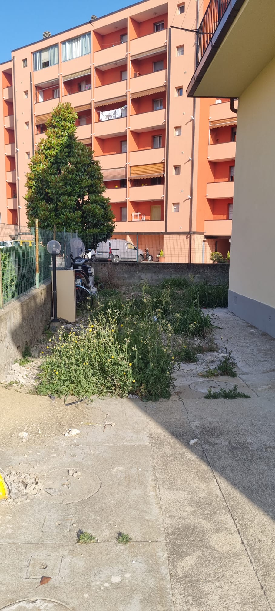Corte esterna invasa dalle erbacce prima del diserbo