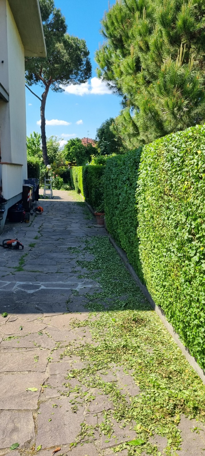 Dopo la trasformazione 1