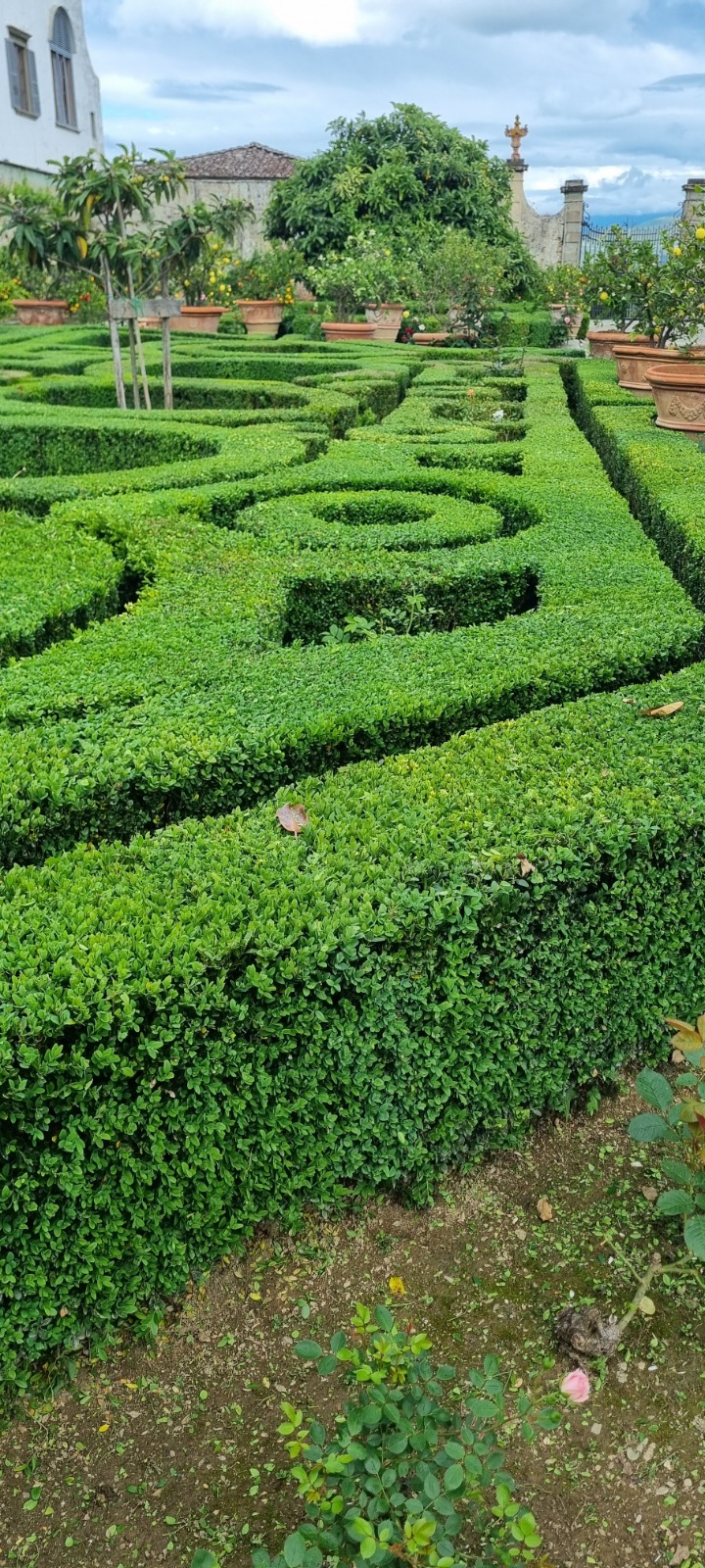 Dopo la trasformazione 2