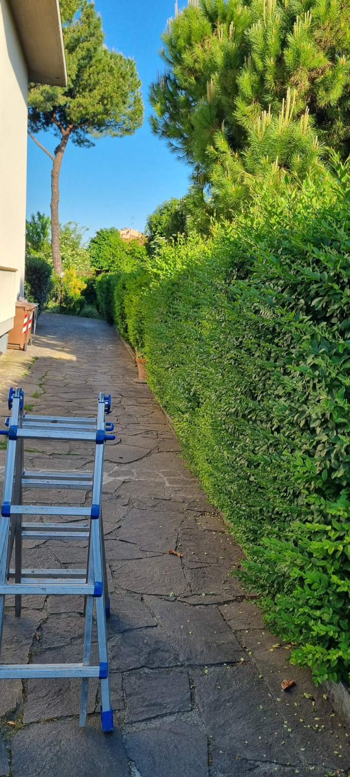 Prima della trasformazione 1