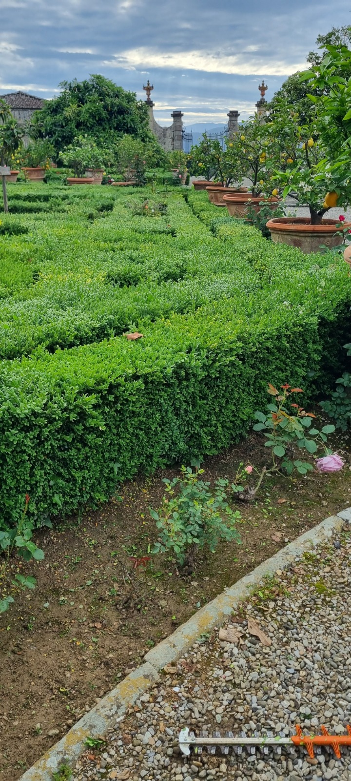 Prima della trasformazione 2