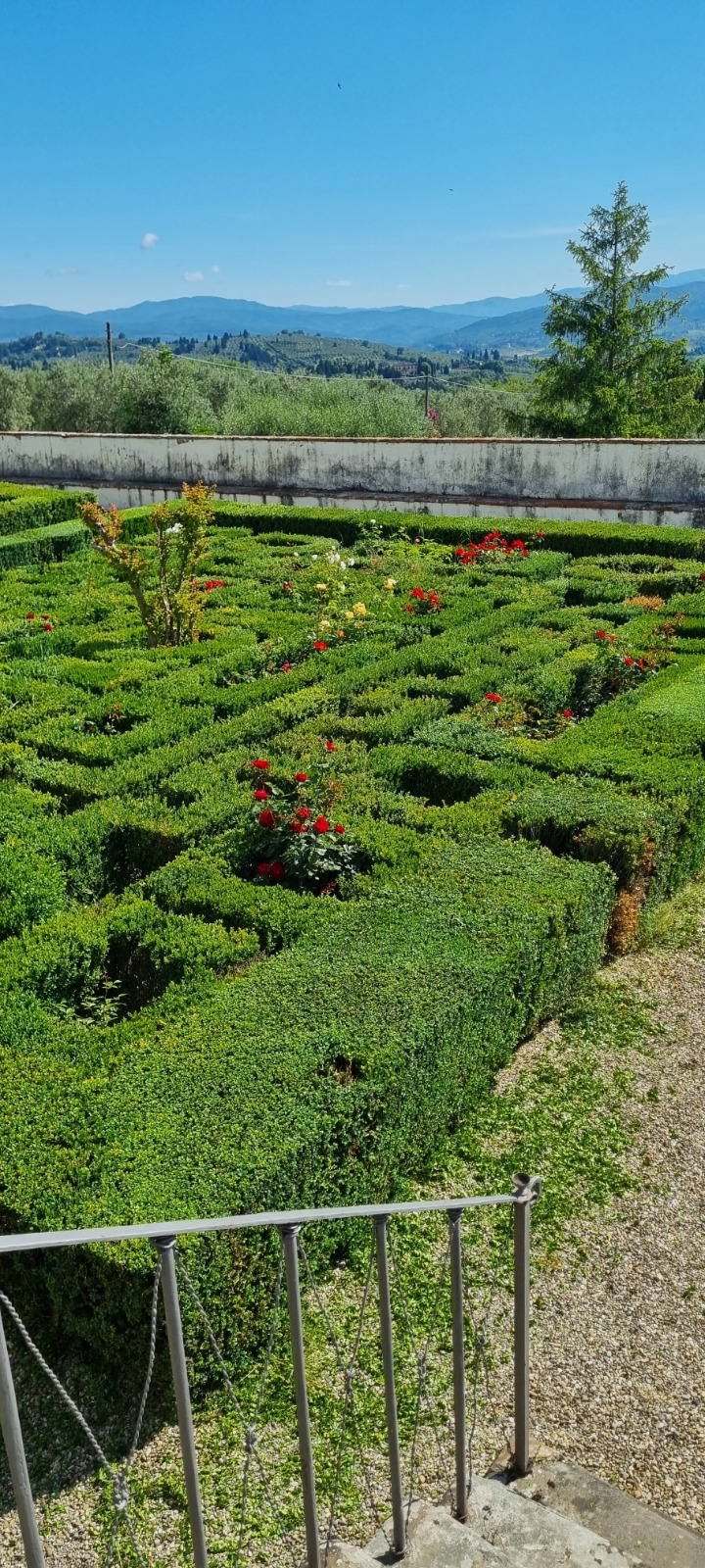 Prima della trasformazione 3